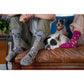Dog Dad | Bamboo Men's Crew Sock