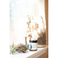 Tumalo Cider | Candle