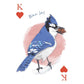 Field Guide to Dumb Birds Playing Cards