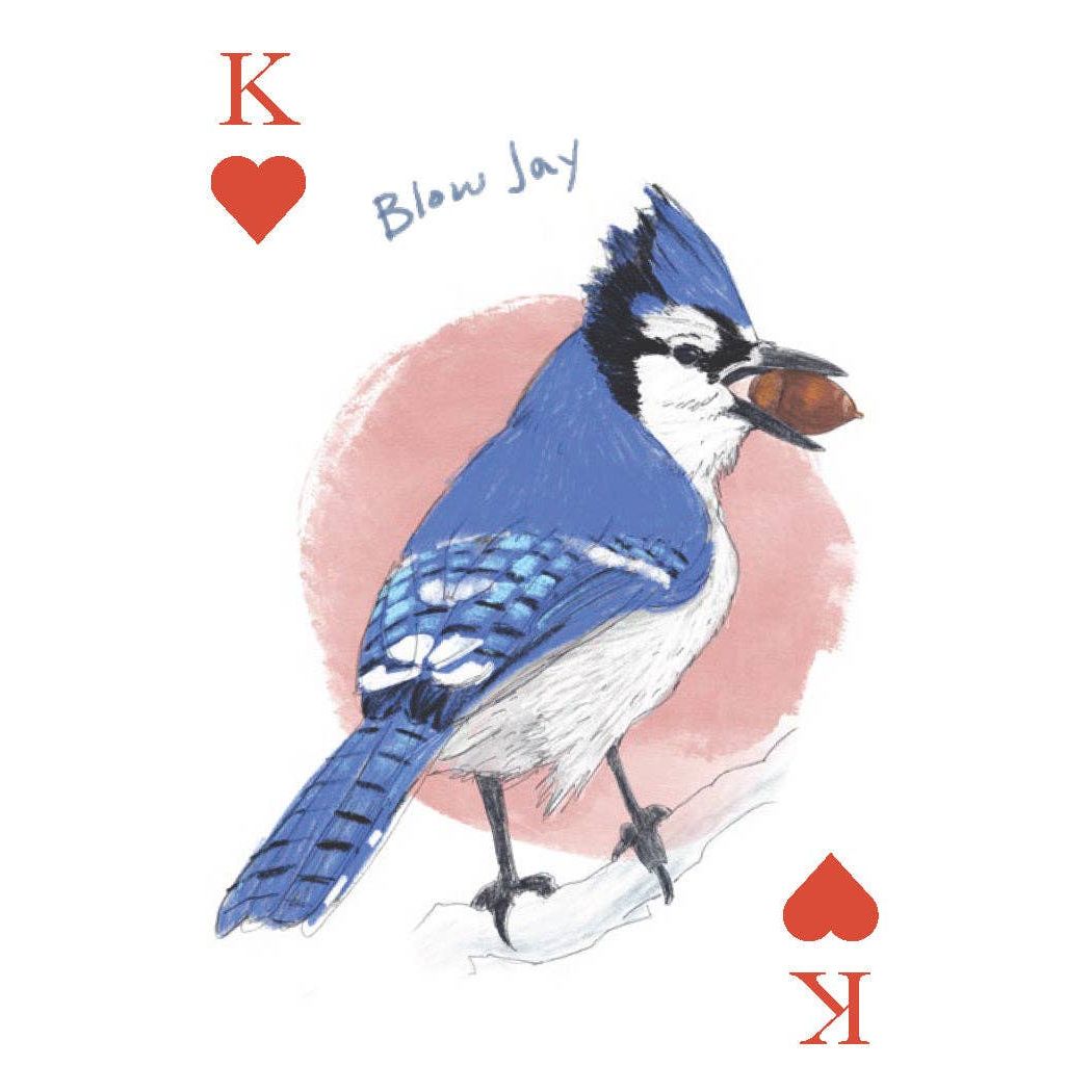 Field Guide to Dumb Birds Playing Cards