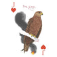 Field Guide to Dumb Birds Playing Cards