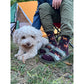 Oh Deer | Bamboo Blend Men's Crew Sock