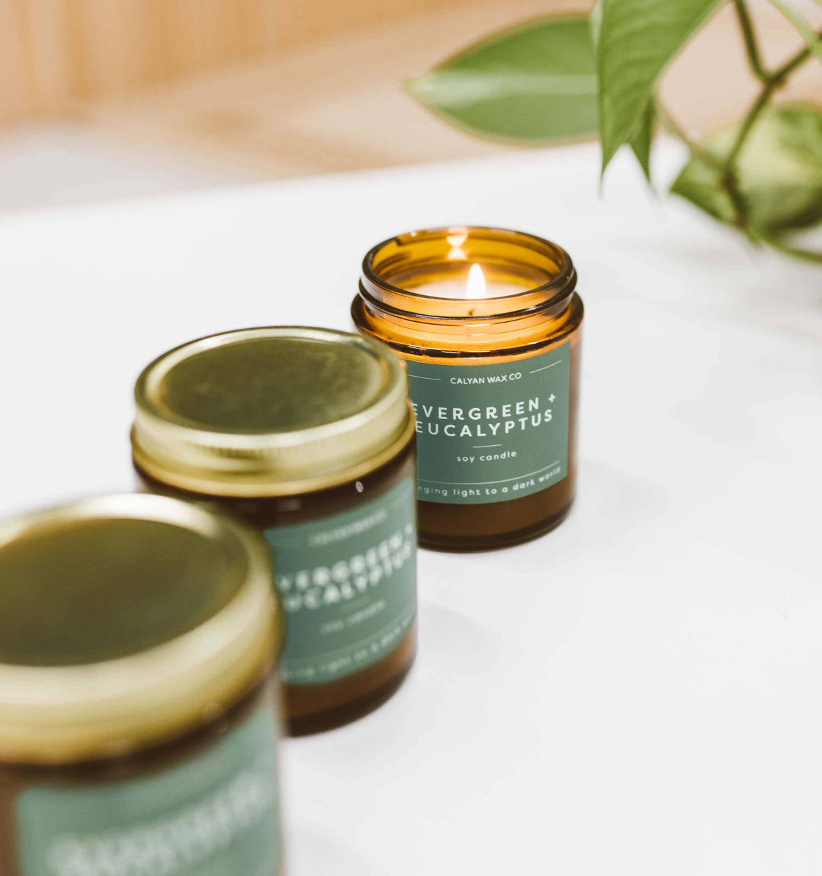 Calyan Wax Co. - Evergreen + Eucalyptus Candle
