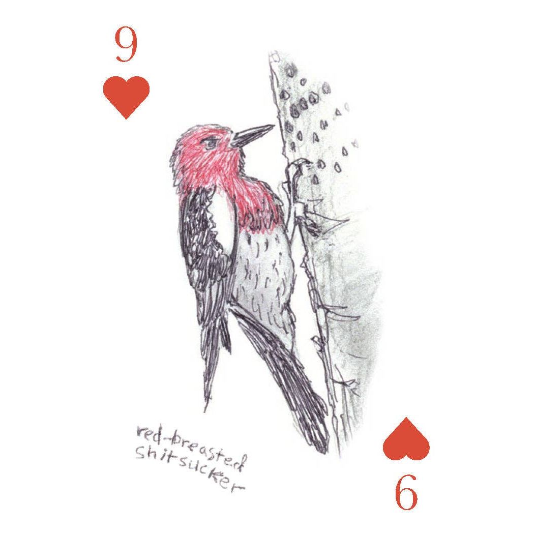 Field Guide to Dumb Birds Playing Cards