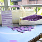 Middle & Main Mahjong - Wanderlust Mahjong Tiles Travel Bundle