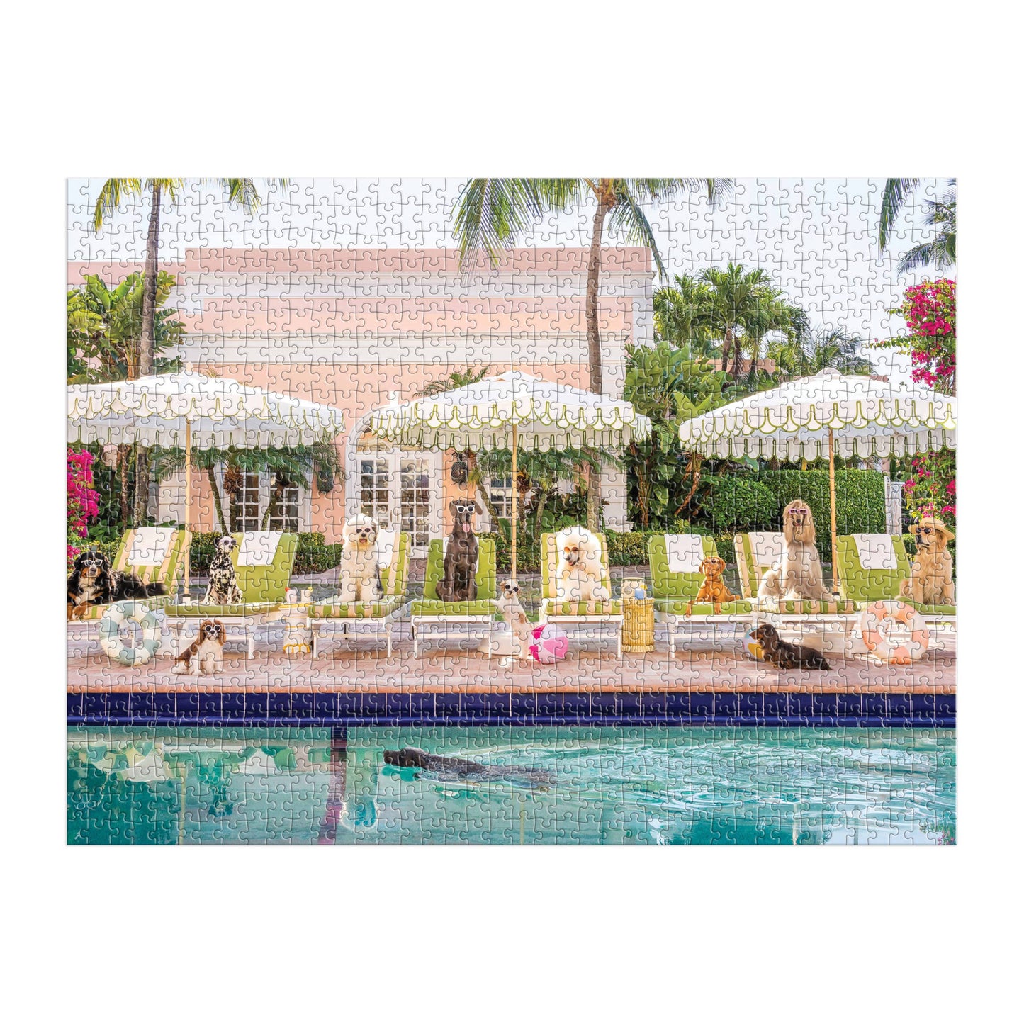Chronicle Books - Gray Malin Palm Beach 1000 Piece Book Box Puzzle