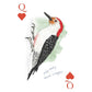 Field Guide to Dumb Birds Playing Cards