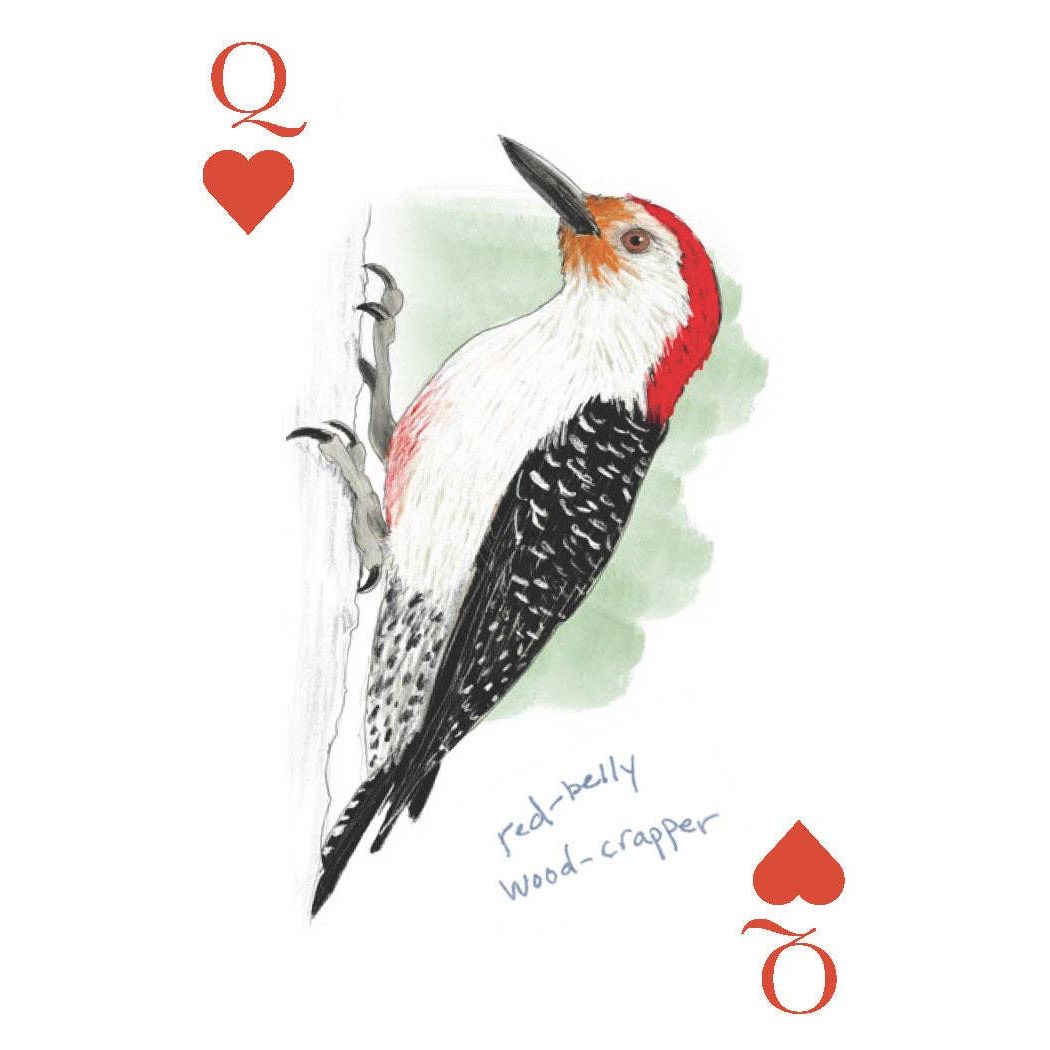 Field Guide to Dumb Birds Playing Cards