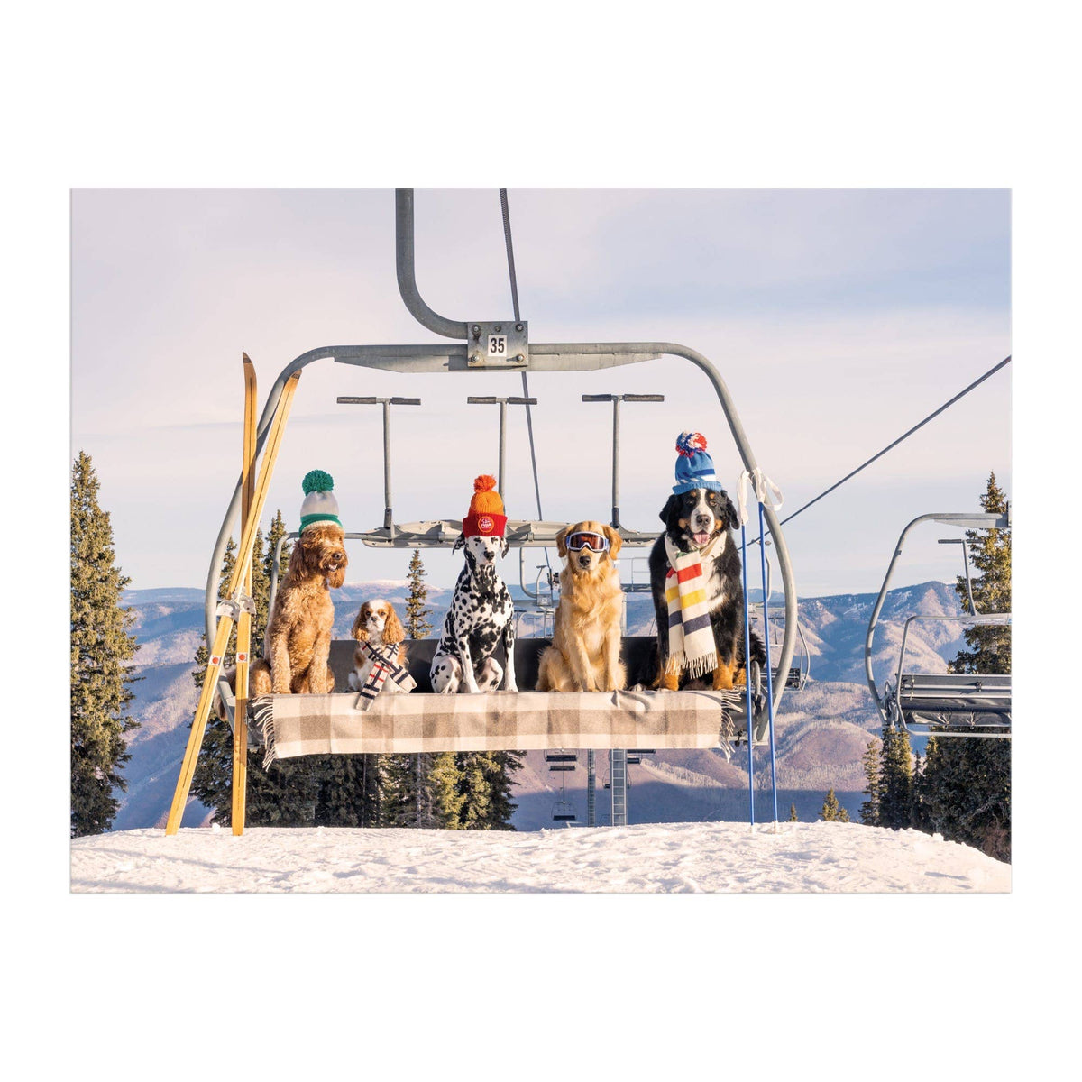 Gray Malin Aspen Book Box Puzzle
