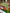 Mahjong Moxie Bamboo Garden Mat