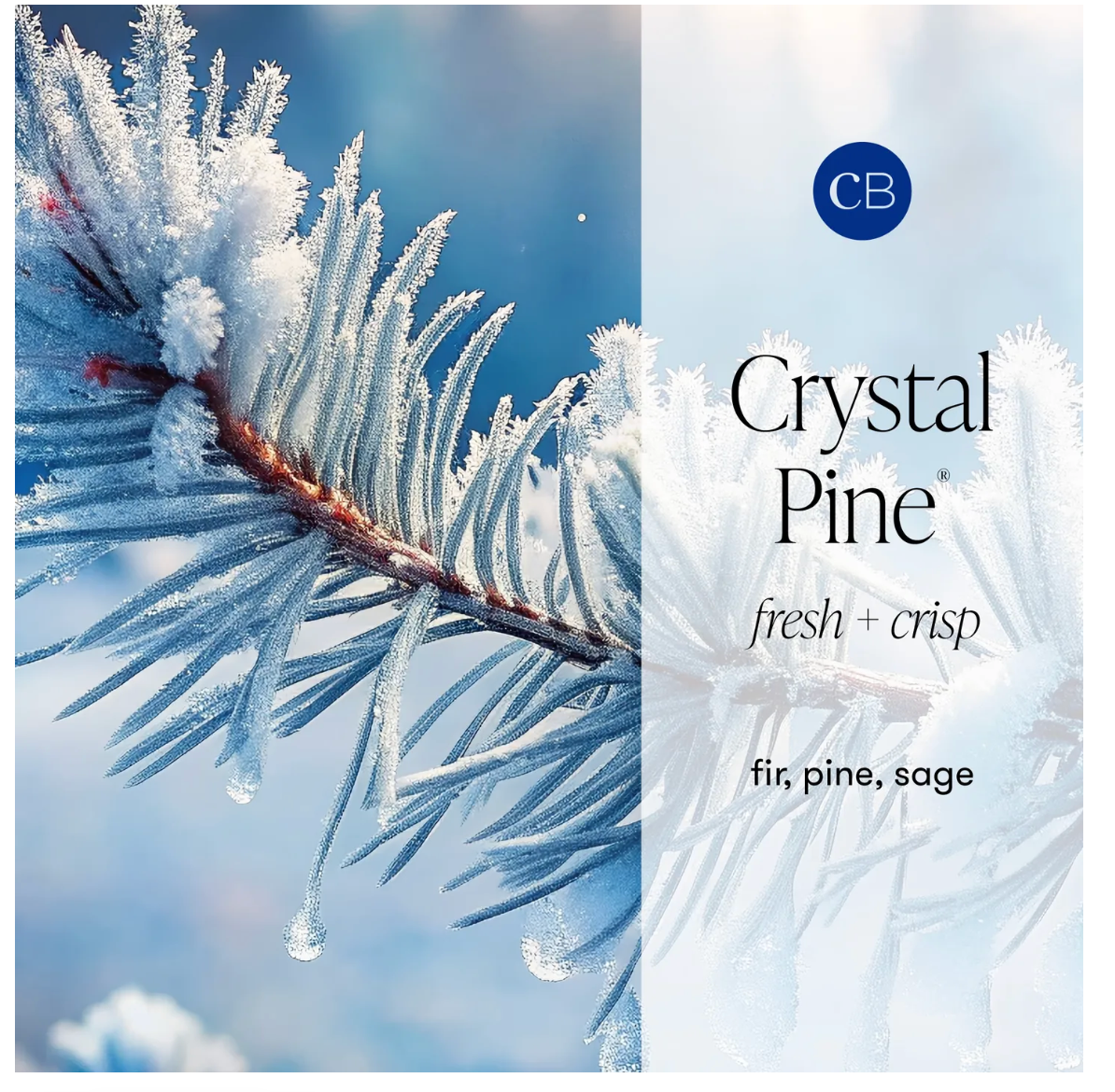 Crystal Pine Glimmer Hand Wash