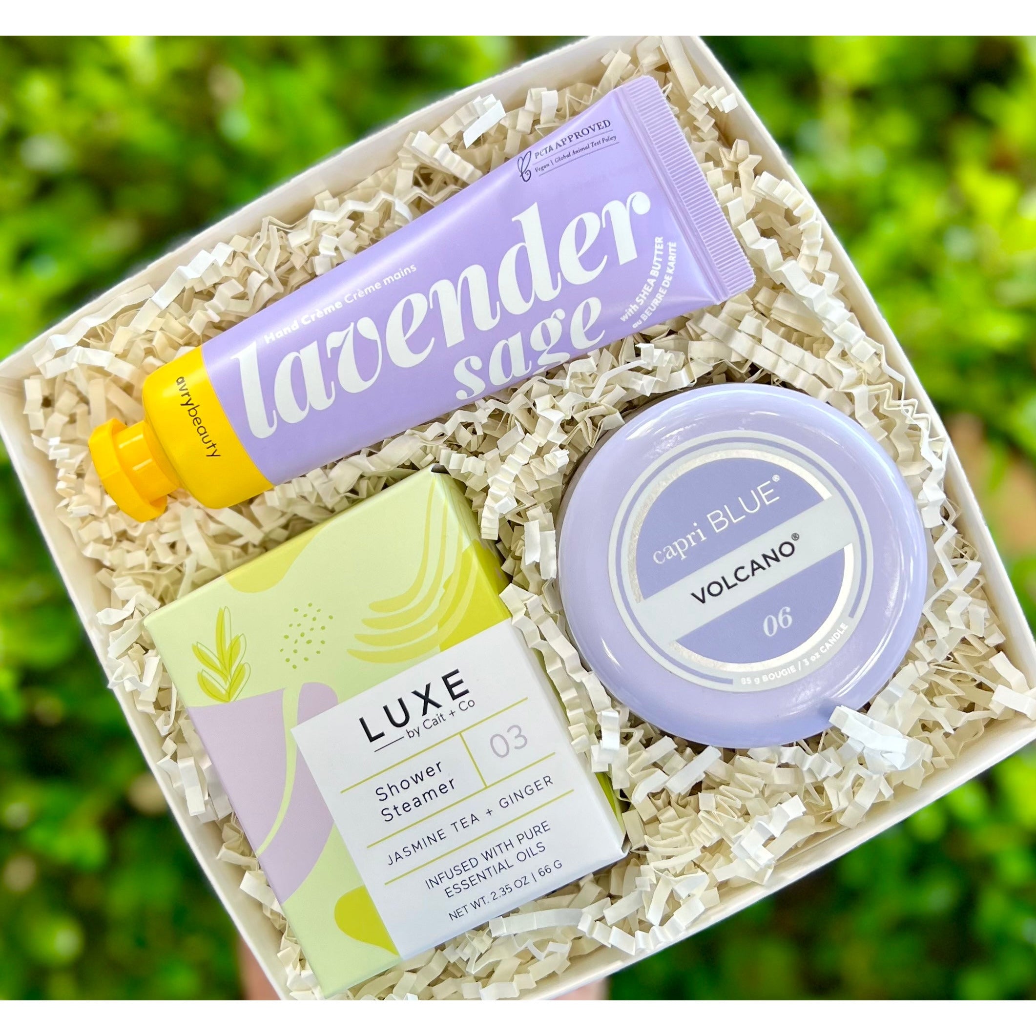 Spa Day Mini - Renew