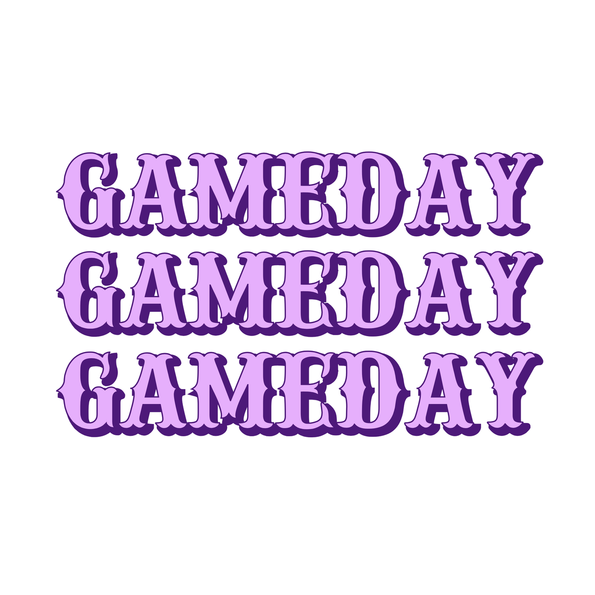 GAMEDAY FORT WORTH insert set | 11x17