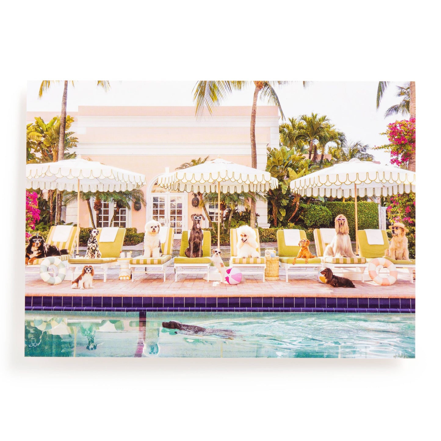 Chronicle Books - Gray Malin Palm Beach 1000 Piece Book Box Puzzle