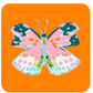 KEVA - Summerfly Coasters, Set of 4