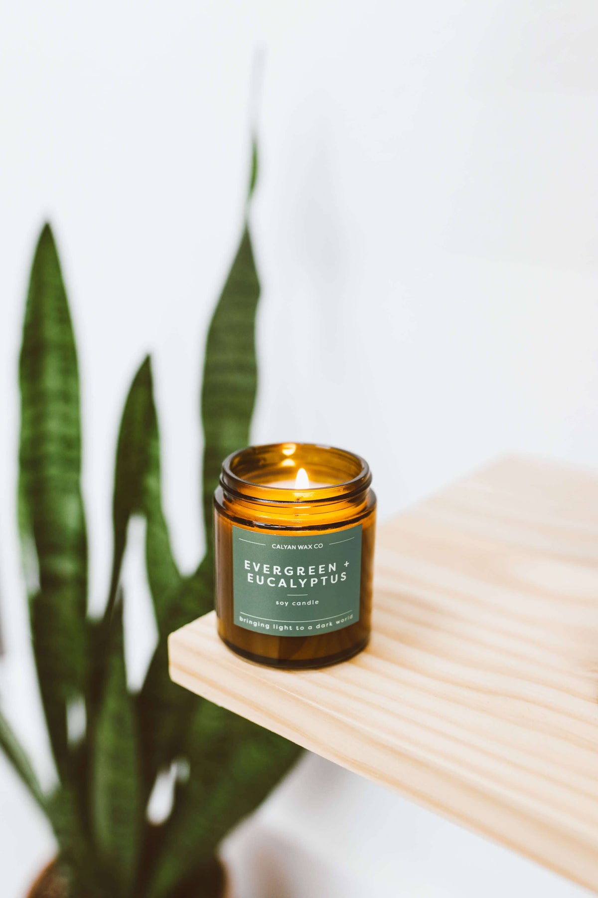 Calyan Wax Co. - Evergreen + Eucalyptus Candle