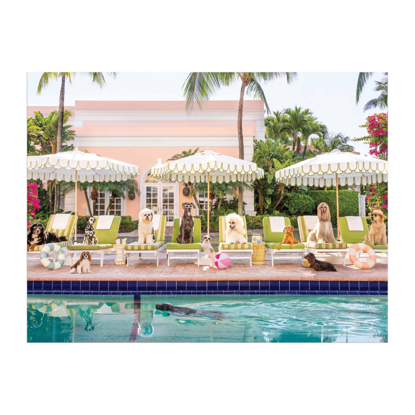 Chronicle Books - Gray Malin Palm Beach 1000 Piece Book Box Puzzle