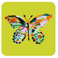 KEVA - Summerfly Coasters, Set of 4