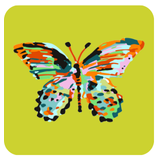 KEVA - Summerfly Coasters, Set of 4