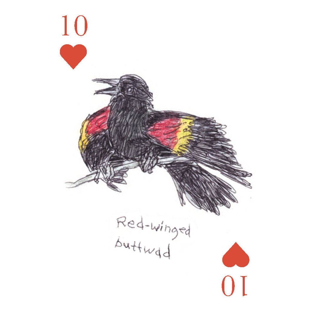 Field Guide to Dumb Birds Playing Cards