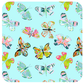 KEVA - Summerfly Coasters, Set of 4